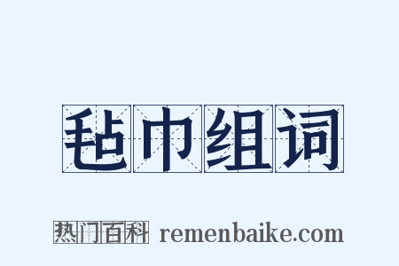 毡巾组词是什么意思的图片